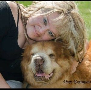 Meet your Posher, Dawn